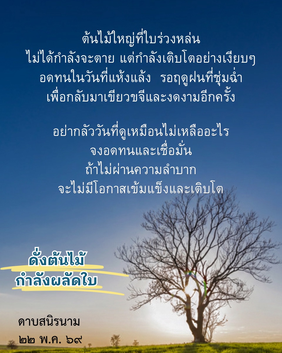 คติธรรม : ดั่งต้นไม้ผลัดใบ